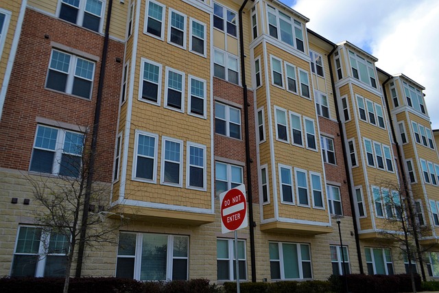 affordable apartment movers in my town